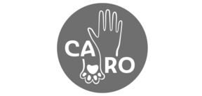 CARO Project