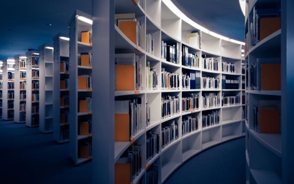 LEARNING MANAGEMENT SYSTEM</span><span> 